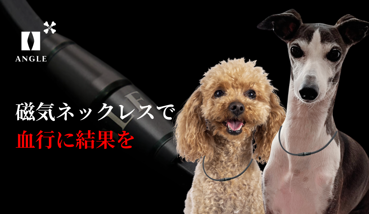 ANGLE PET