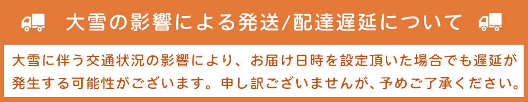 大雪による配達遅延のお知らせ