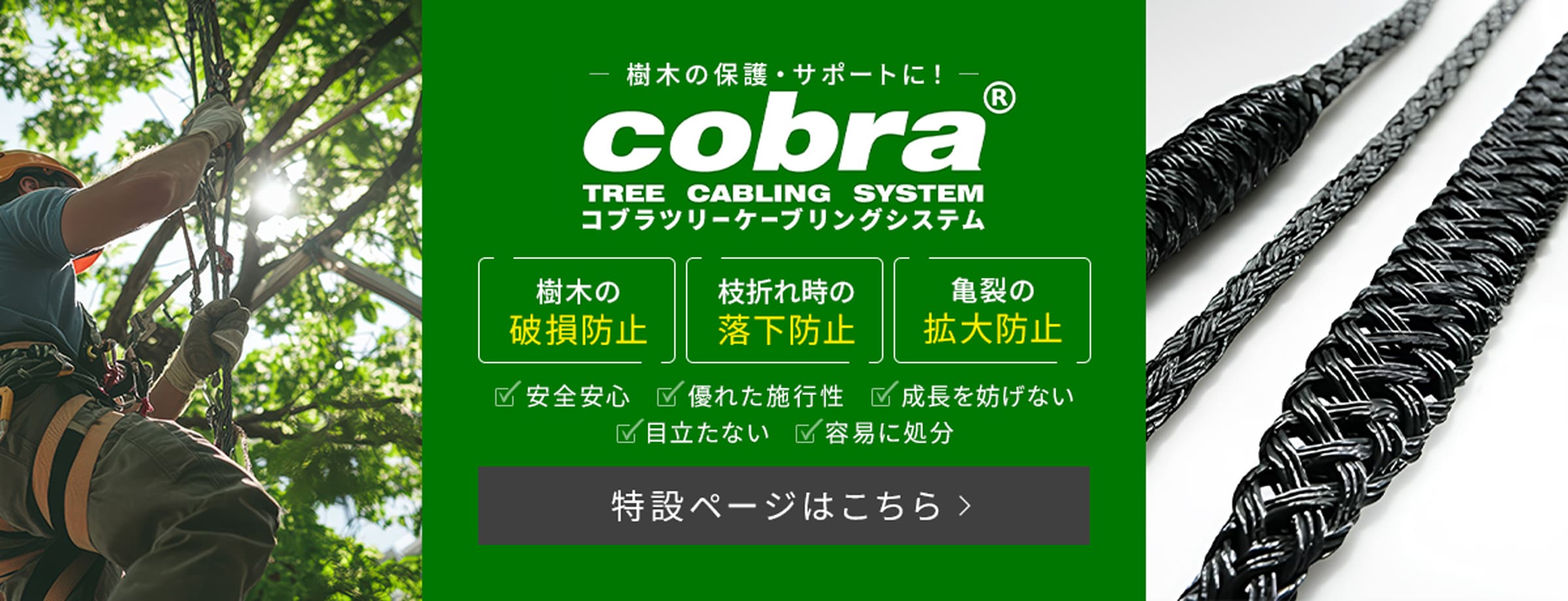 コブラツリーケーブリングシステム特設ページはこちら