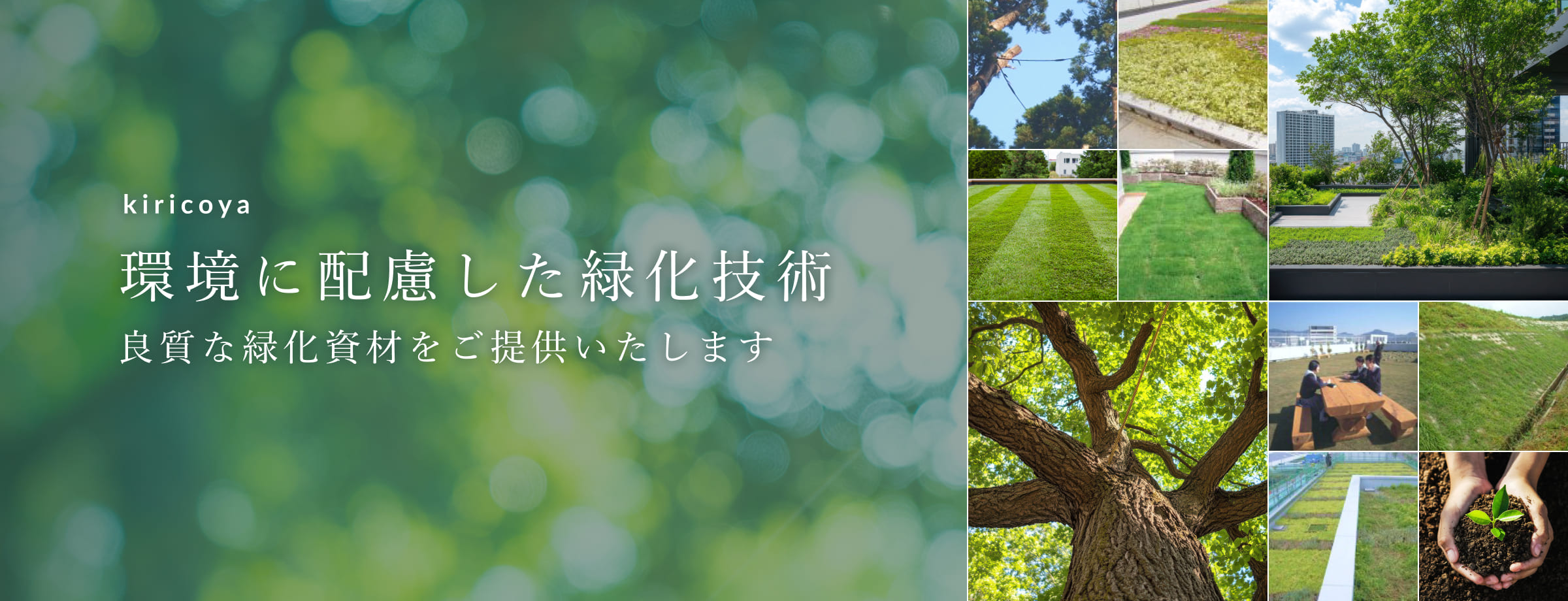 環境に配慮した緑化技術 良質な緑化資材をご提供いたします