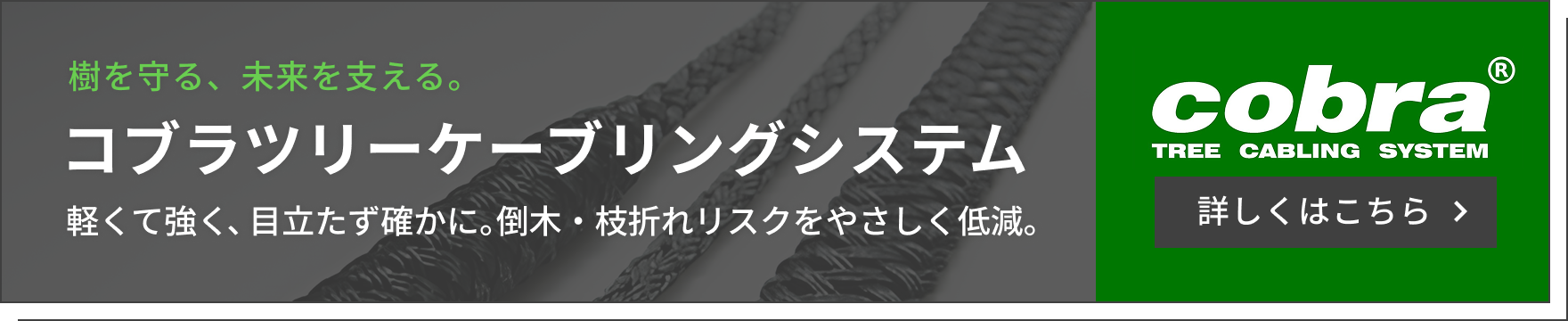 コブラツリーケーブリングシステムについて