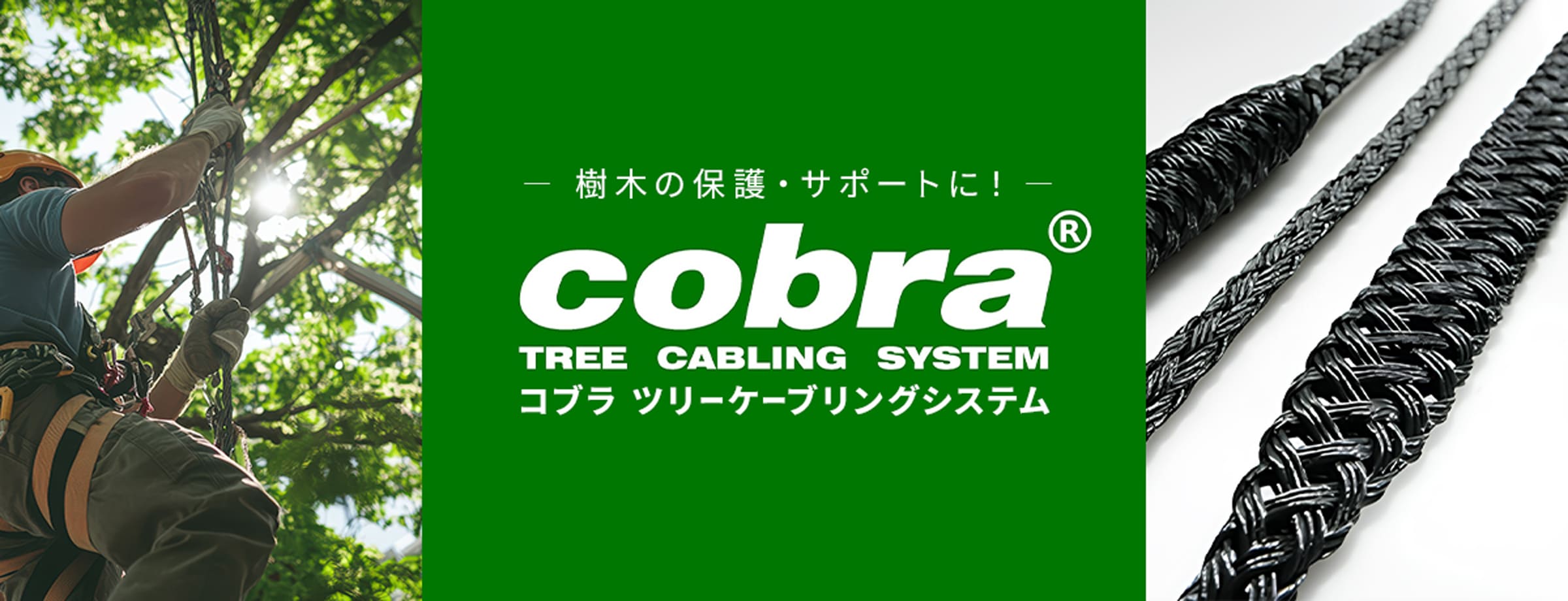 樹木の保護・サポートに！コブラツリーケーブリングシステム