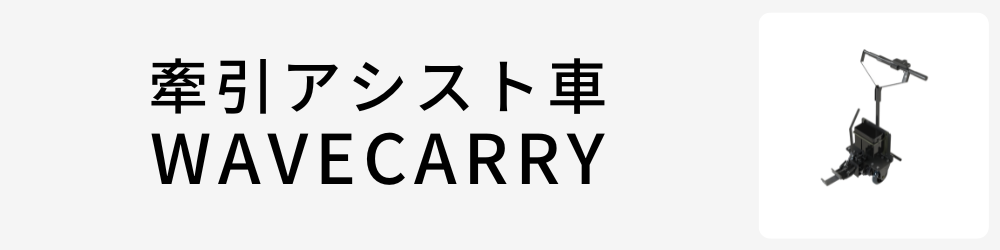 WAVECARRY