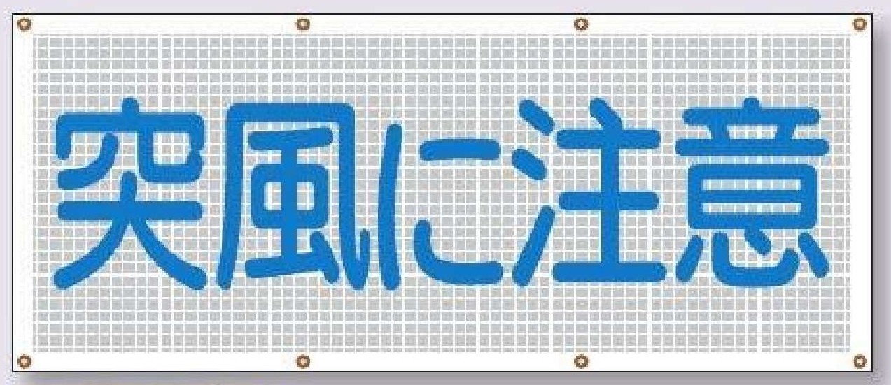 SY-10　スカイメッシュ【突風に注意】