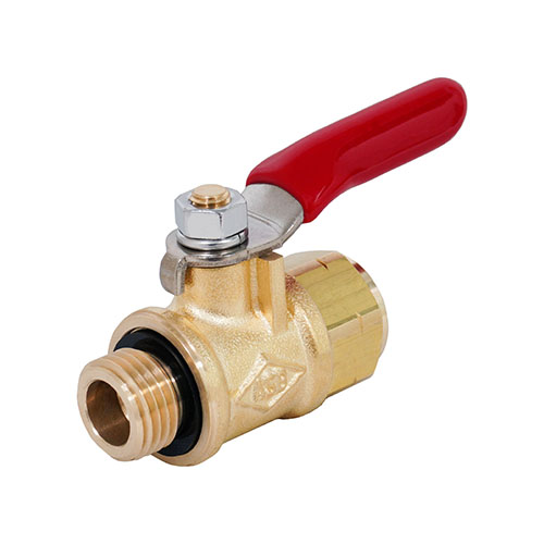 KCボールコックMF（６）オス×メス　ASABA