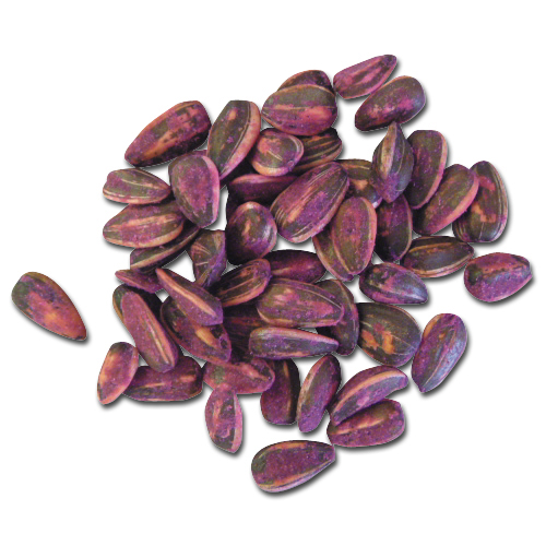 メリーシードS 1kg