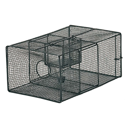 栄ヒルズ Atype No.102