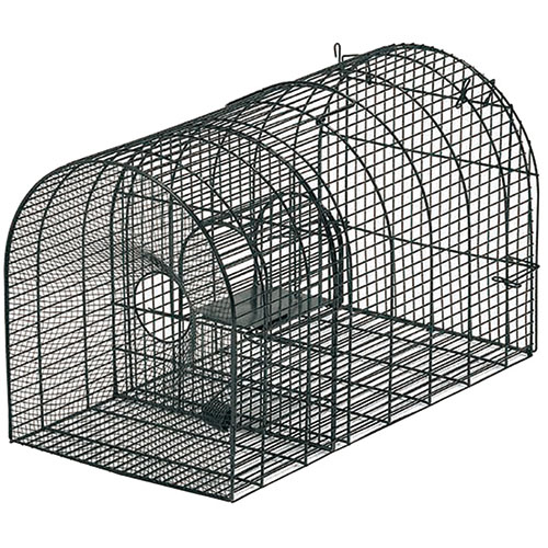 栄ヒルズ Atype No.103