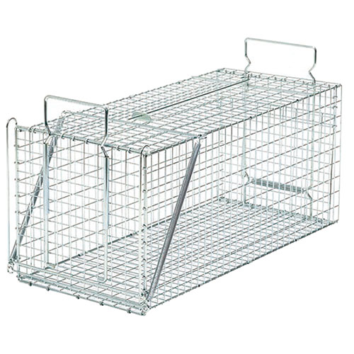 栄ヒルズ Dtype No.402