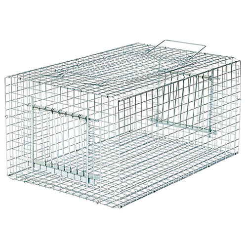 栄ヒルズ RFtype RF