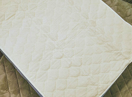 (株)ロマンス小杉 汗取り敷パッド S