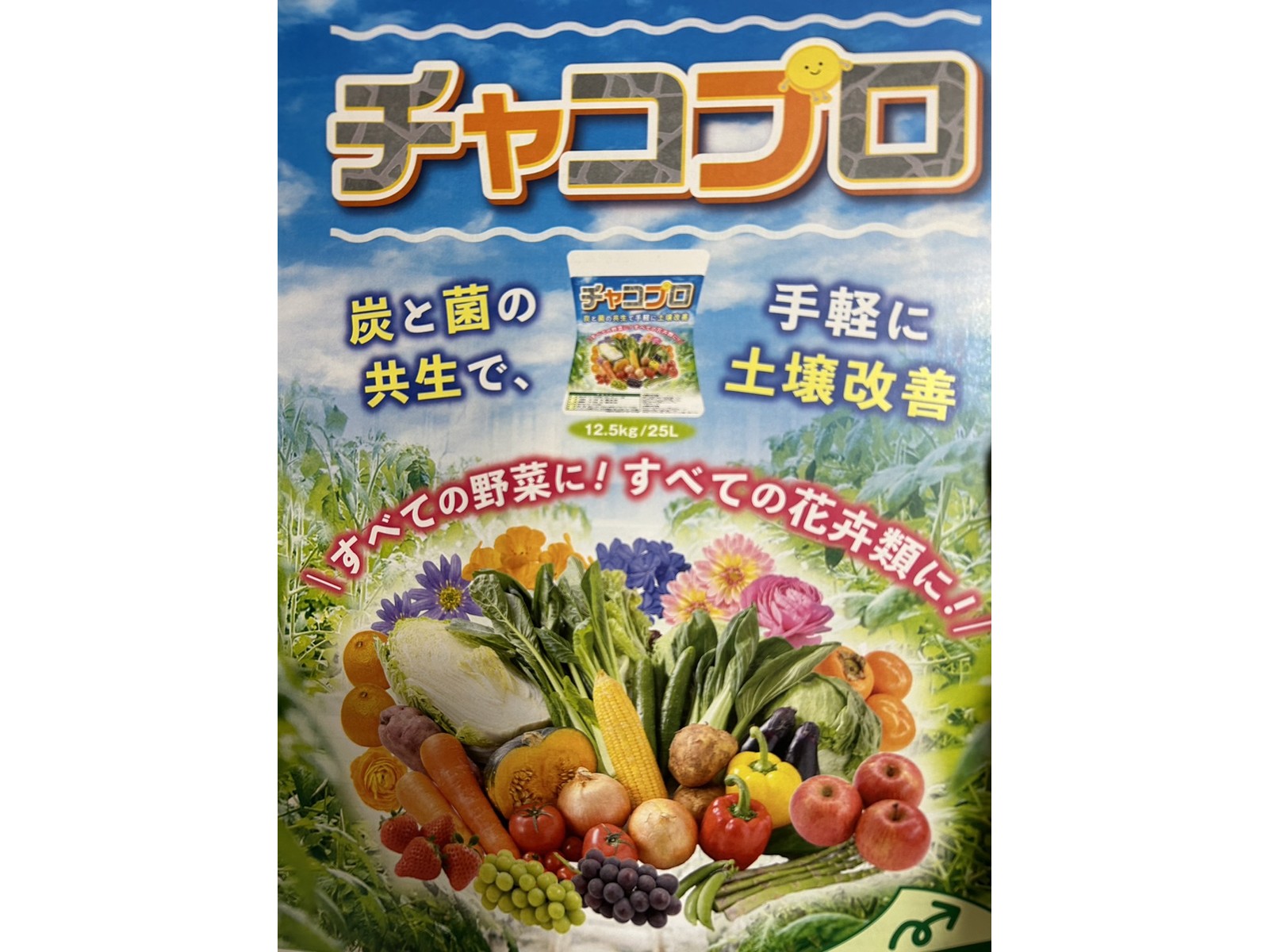 チャコプロ 粗粒