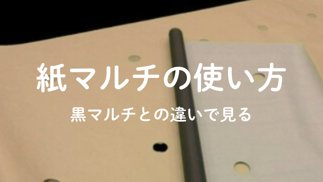 紙マルチ「サステナマルチ」記事バナー