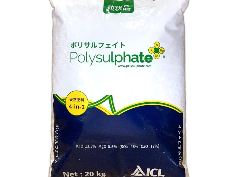 ポリサルフェイト