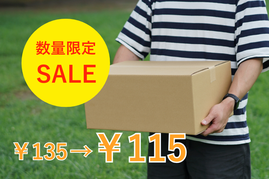 【限定価格】100サイズダンボール