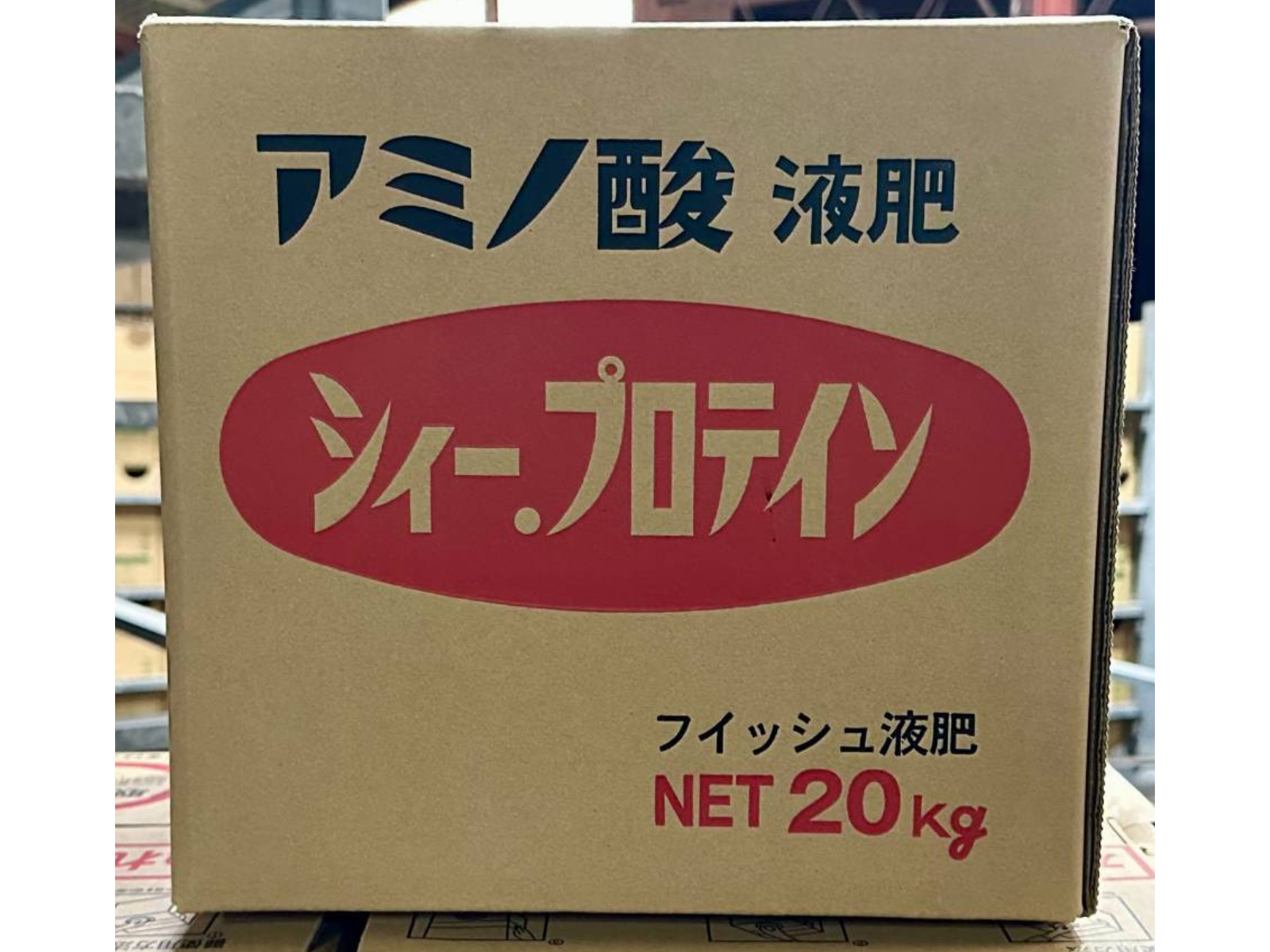 シィープロテイン