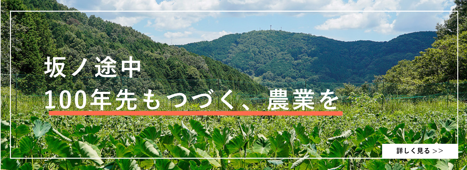 坂ノ途中について