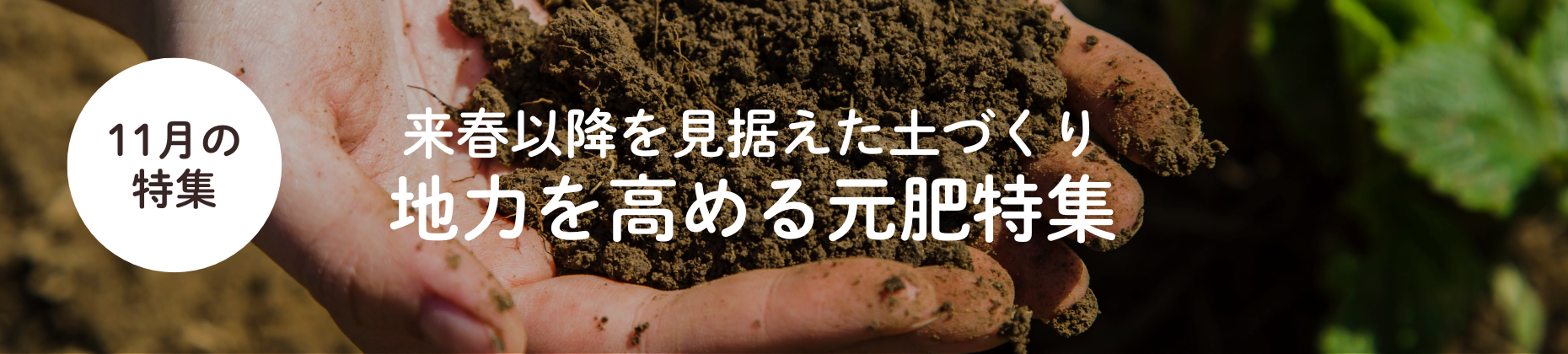 【11月】地力を高める元肥特集