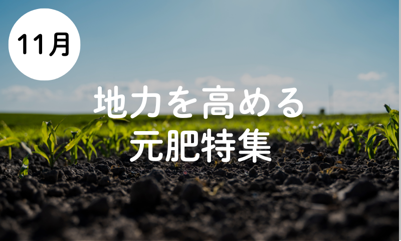 【11月】地力を高める元肥特集