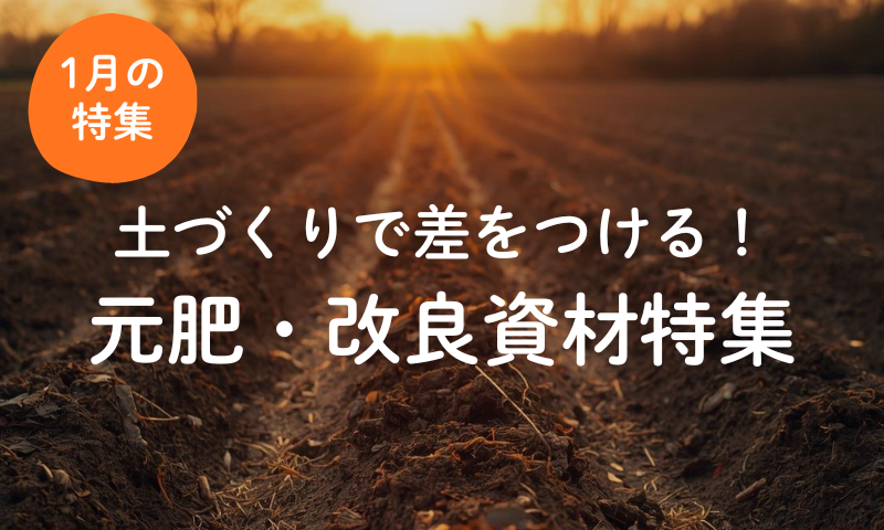 【1月】春作に向けた元肥・改良資材特集