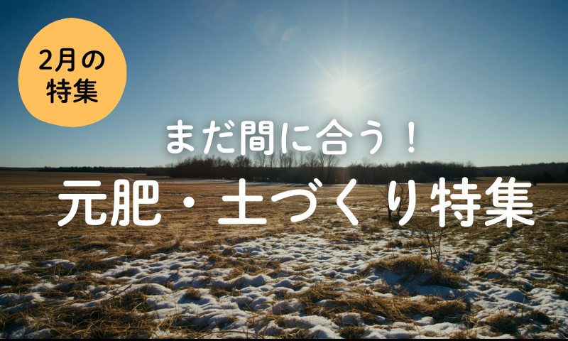 【2月】まだ間に合う！元肥・土づくり特集