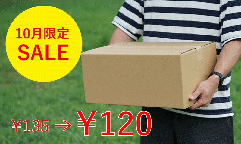 【10月限定価格】100サイズダンボール