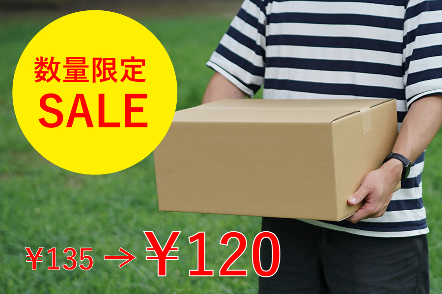 【10月限定価格】100サイズダンボール