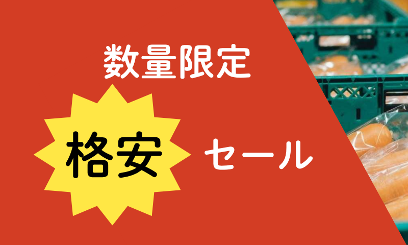 数量限定格安セール