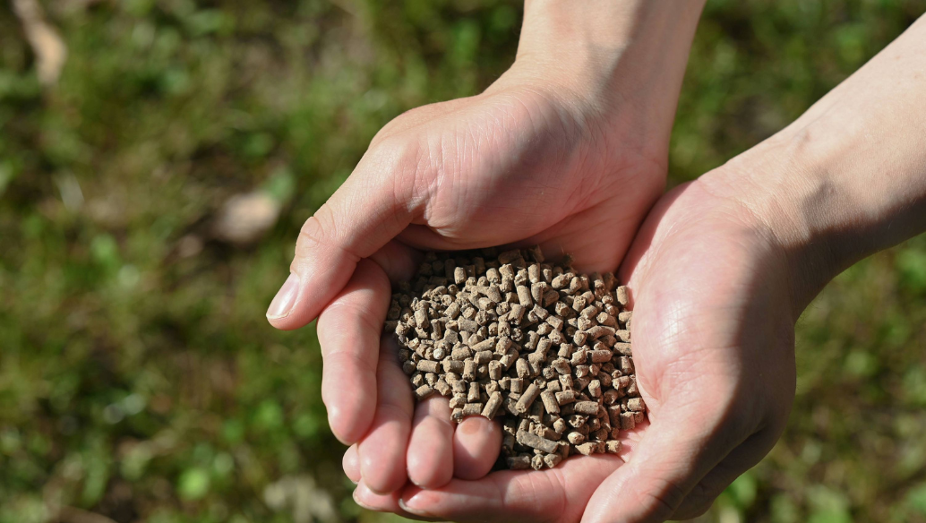 オール有機写真