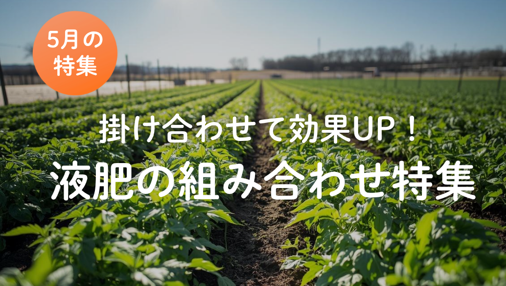 液肥の組み合わせ特集