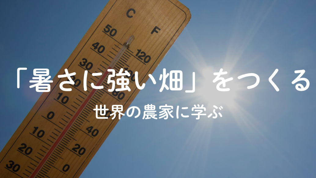 世界の農家に学ぶ猛暑対策・暑さに強い畑のつくり方