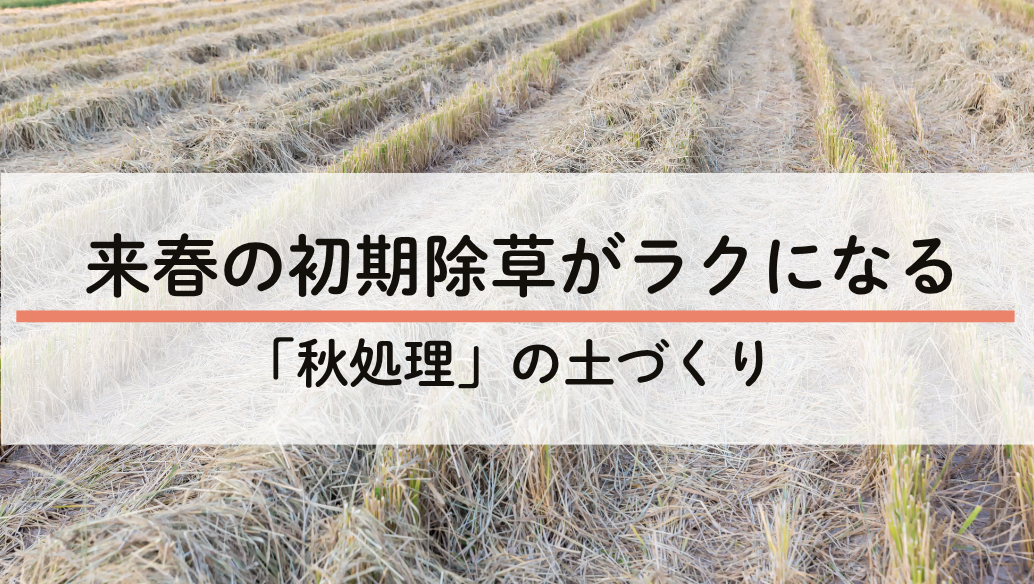 稲刈り後の稲わら秋処理で来春の初期除草をラクにする土づくり