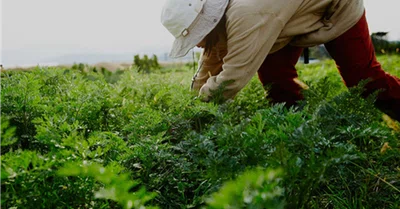 坂ノ途中が農業資材の販売を始めたワケ