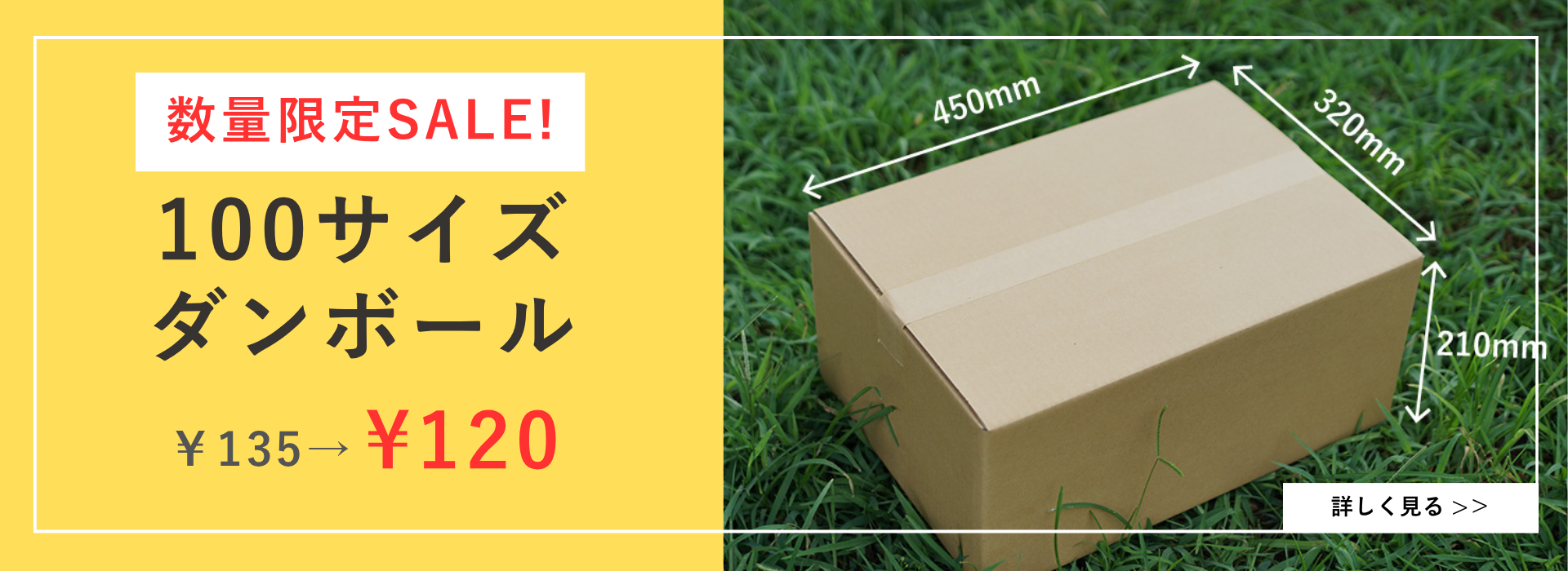 100サイズダンボール