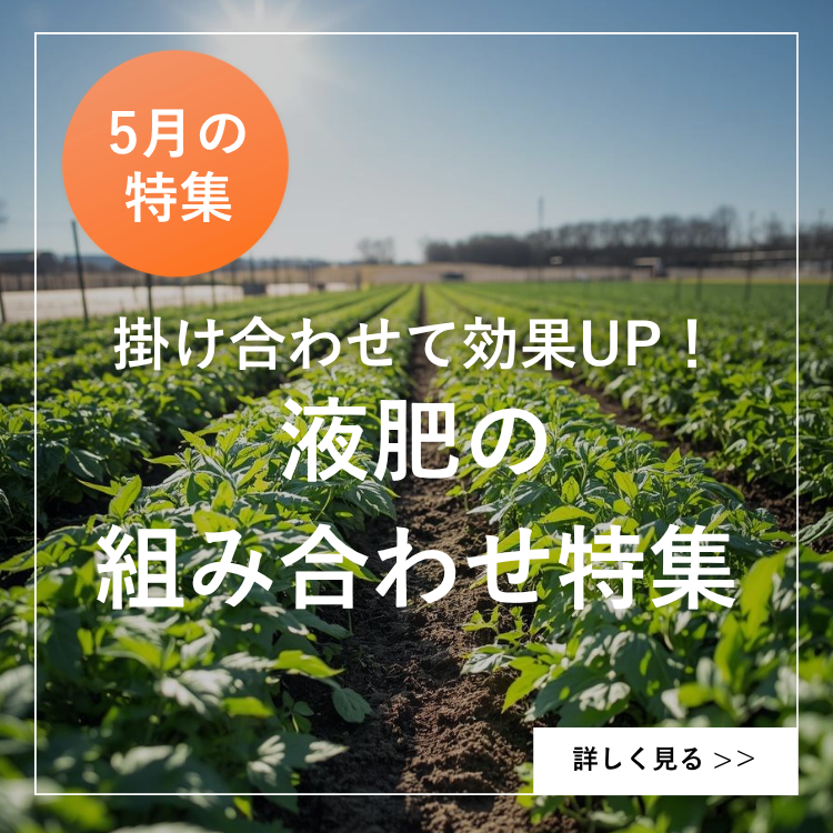 ５月特集