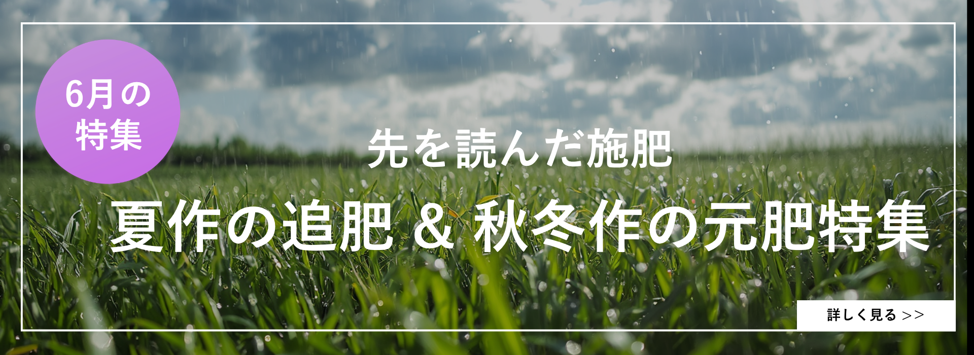 6月