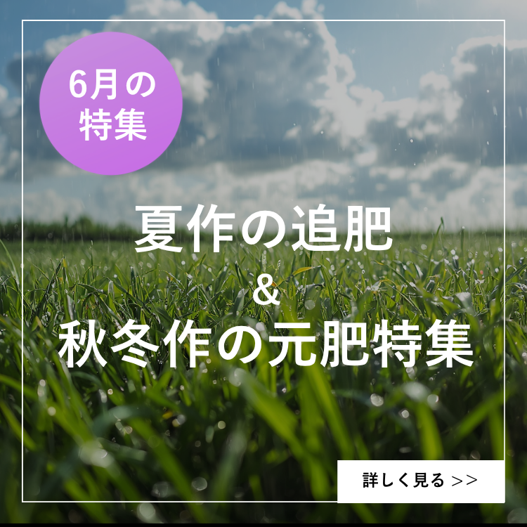 6月