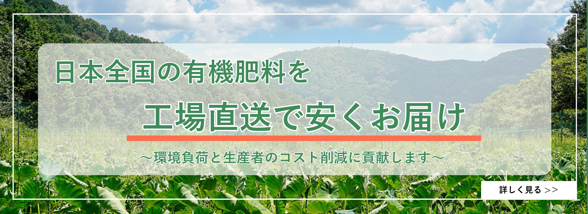 サイト紹介