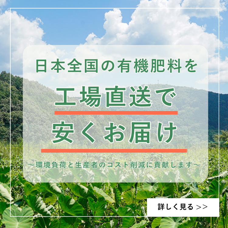 サイト紹介