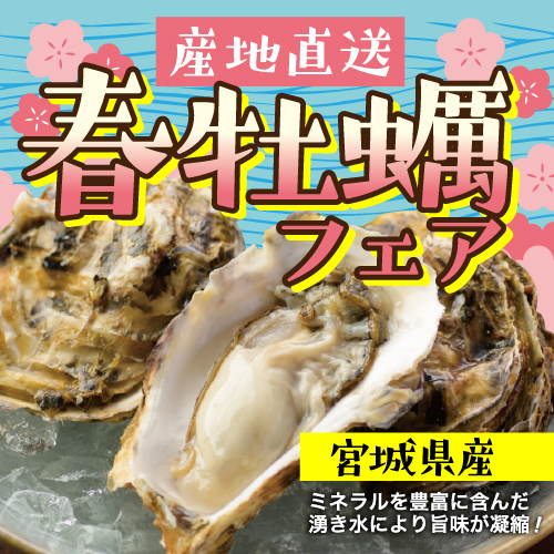 産地直送　殻付き牡蠣