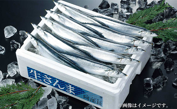 ［気仙沼直送］生さんま　※時価の為価格ご相談ください