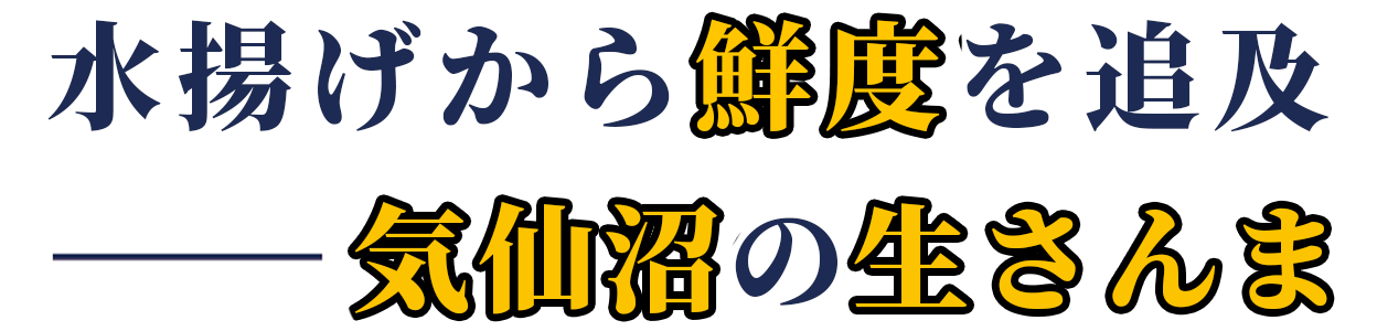 生さんま用テキスト