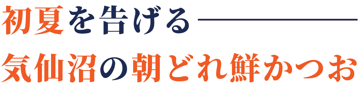 初夏を告げる　気仙沼の朝どれ鮮かつお