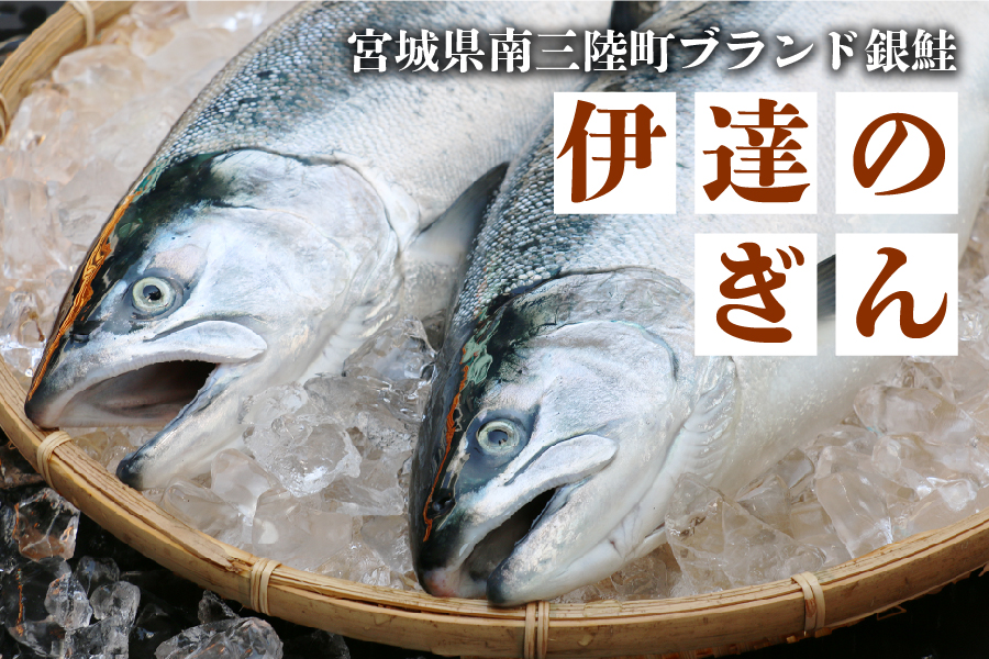 「伊達のぎん」宮城県産養殖銀鮭
