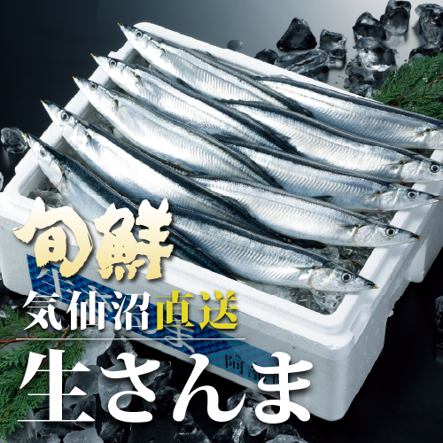 旬鮮　気仙沼直送　生さんま