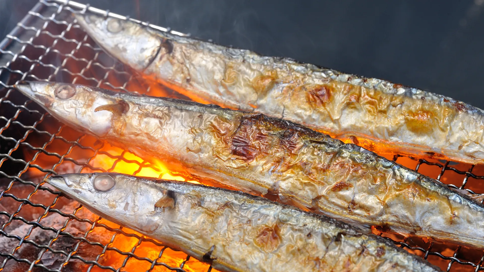 とことん味わってもらいたい！おいしい旬のさんま