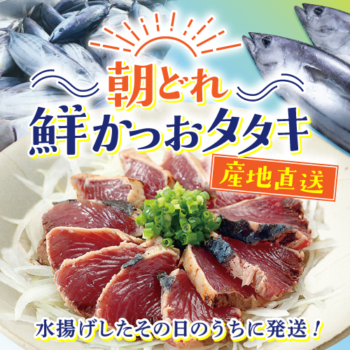 朝どれ鮮かつおタタキ　産地直送｜水揚げしたその日のうちに発送！