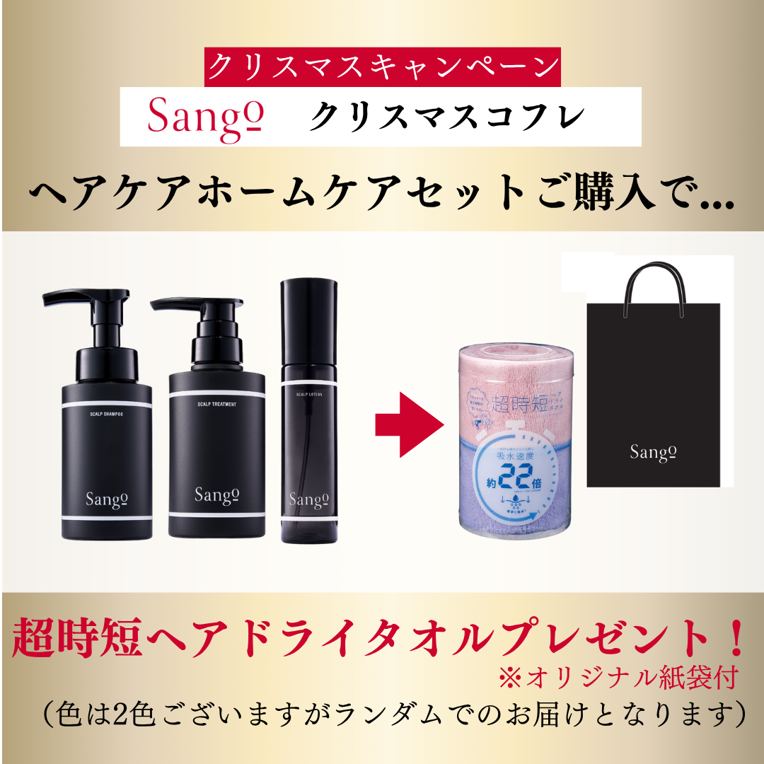 【クリスマスコフレ】ヘアケア