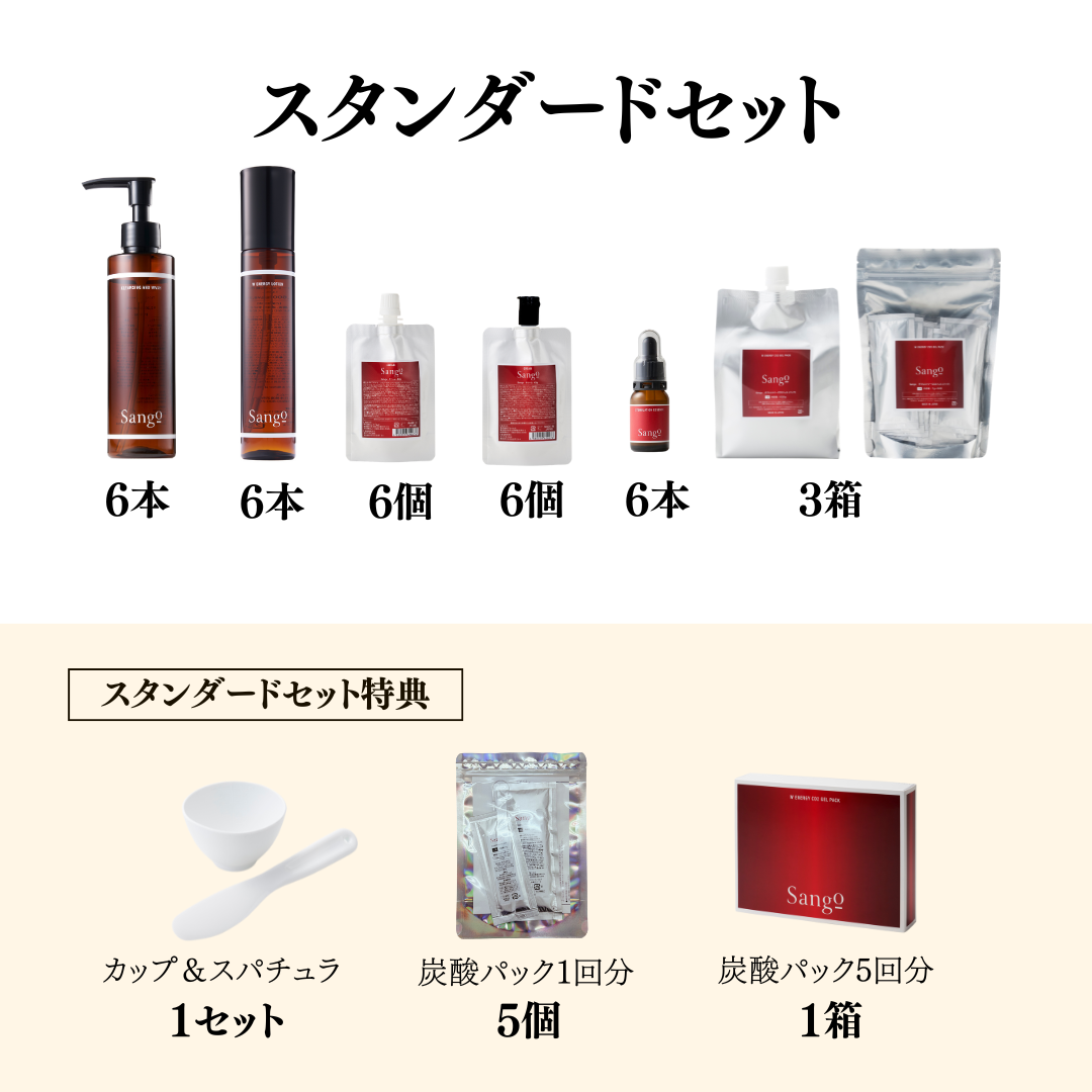 スタンダードセット＜スキンケア＞