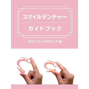 スマイルデンチャーガイドブック(10冊セット)